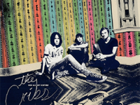 Album Review: The Cribs – For All My Sisters