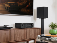 Bi-Wiring & Bi-Amping Speakers: A Guide to Better Sound