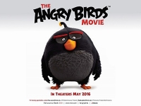 Film review: Angry Birds