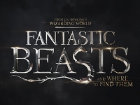 Film review: Fantastic Beasts and Where to Find Them