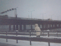 Album review:  Sun Kil Moon – This Is My Dinner