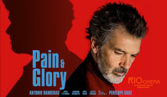 Image result for pain and glory film