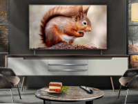 Best OLED TVs | Expert OLED TV Picks for Every Budget