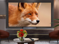 The Best Value-for-Money Smart TVs: An Expert Guide