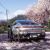 Game review: Forza Horizon 6