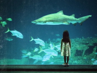 Album review: Bring me the Horizon – Count Your Blessings | Repented